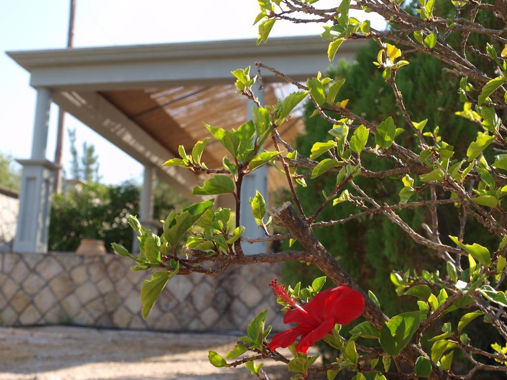 Razáta Aristotelis Apartments חדר תמונה